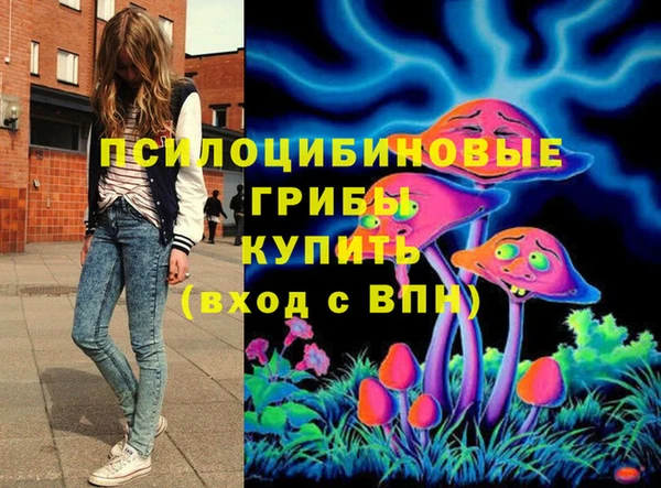 apvp Алексин