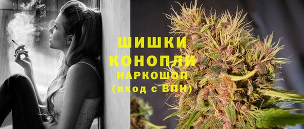 дмт Алзамай