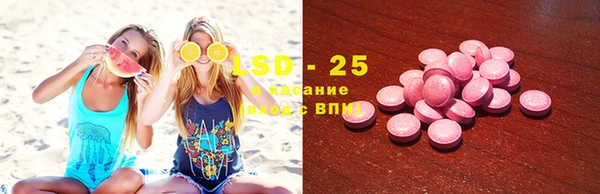 дмт Алзамай