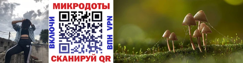 Галлюциногенные грибы мицелий  Артём 