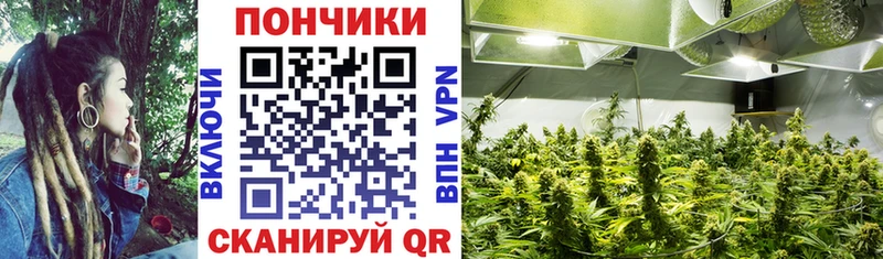 Марихуана сатива Артём
